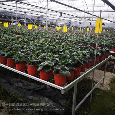 2020北方水稻移动育苗床 金属制品助力生产量提升